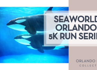 SeaWorld Orlando 5K Run Series