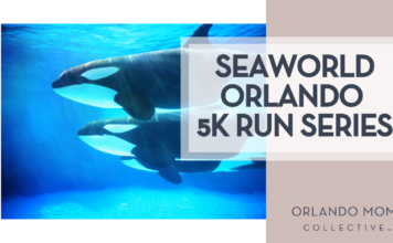 SeaWorld Orlando 5K Run Series