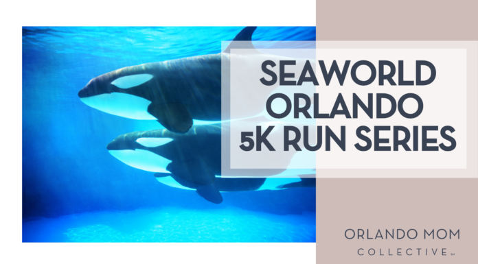 SeaWorld Orlando 5K Run Series