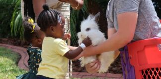 Easter Fest