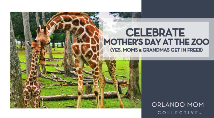 Celebrate Mother’s Day at the Zoo (Yes, Moms Get In FREE 🐒🌸)