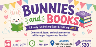 Bunnies and Books