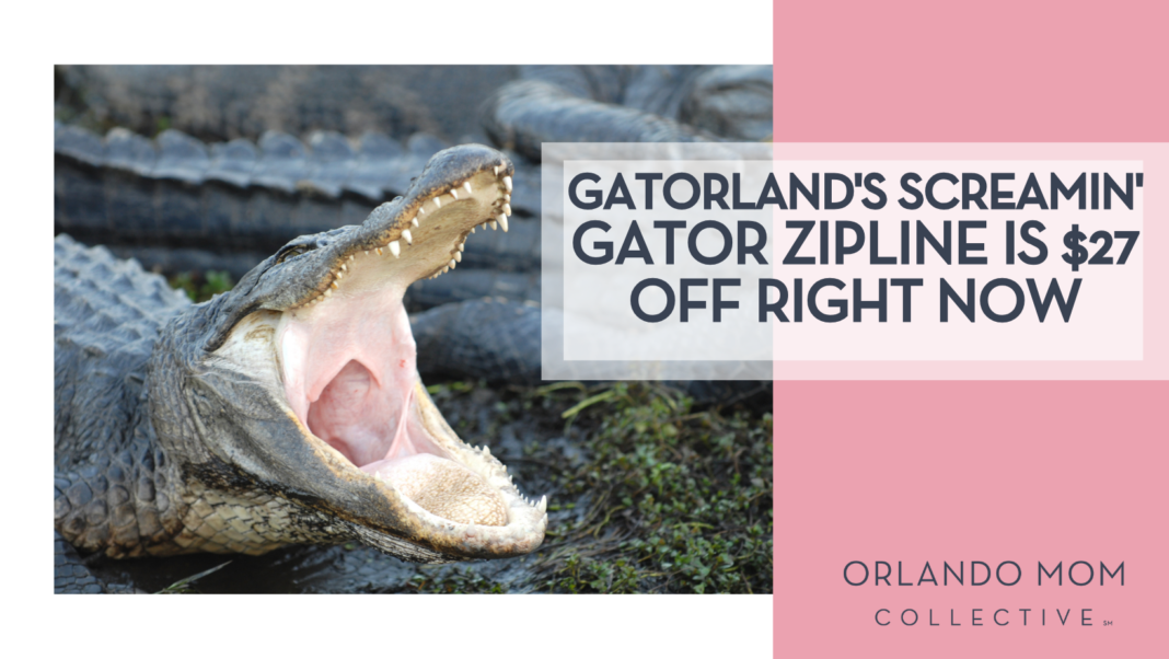 Gatorland's Screamin' Gator Zipline Is $27 Off Right Now