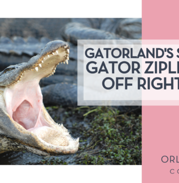 Gatorland’s Screamin’ Gator Zipline Is $27 Off Right Now