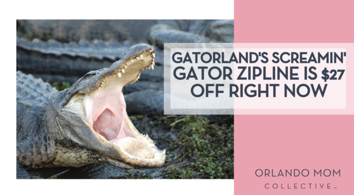 Gatorland’s Screamin’ Gator Zipline Is $27 Off Right Now