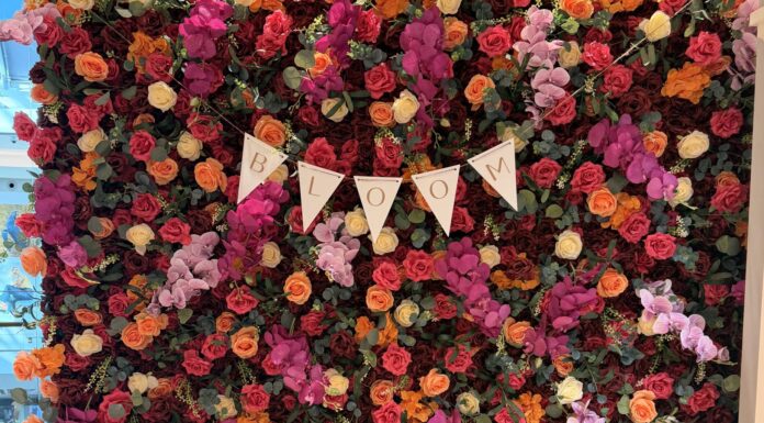 Bloom 2026 Recap: Eleven Years and Still Blooming