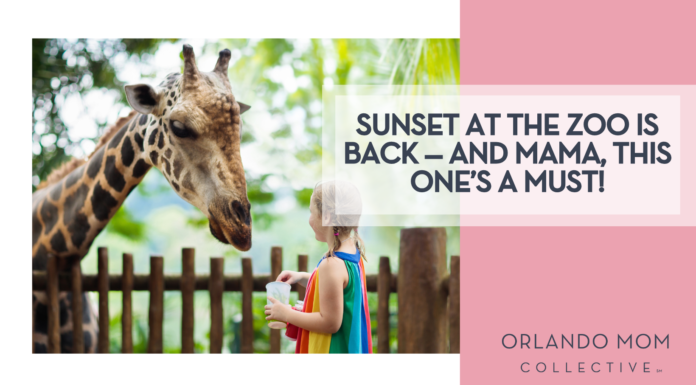 Sunset at the Zoo Is Back — And Mama, This One’s a Must!