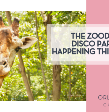 The Zoodio 50 Disco Party is Happening this Summer!