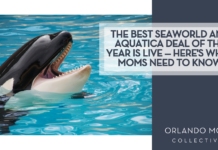 The Best SeaWorld and Aquatica Deal of the Year Is Live — Here’s What Moms Need to Know