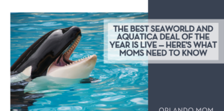 The Best SeaWorld and Aquatica Deal of the Year Is Live — Here’s What Moms Need to Know