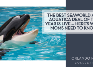 The Best SeaWorld and Aquatica Deal of the Year Is Live — Here’s What Moms Need to Know