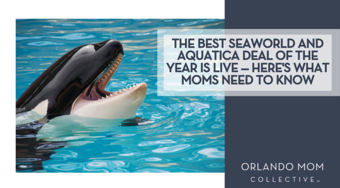 The Best SeaWorld and Aquatica Deal of the Year Is Live — Here’s What Moms Need to Know