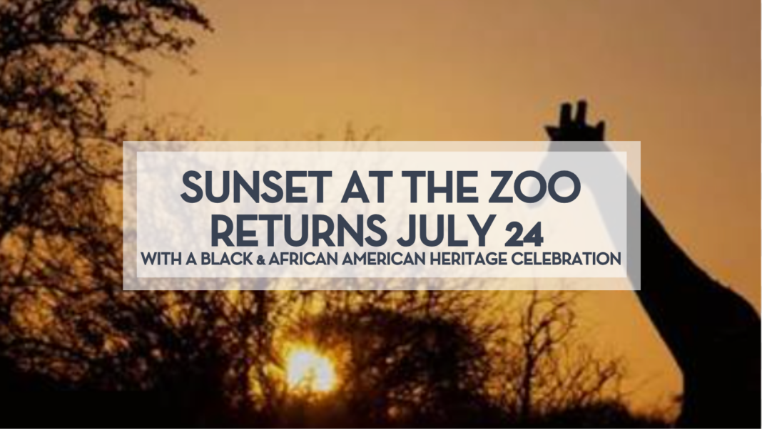 Sunset at the Zoo Returns July 24